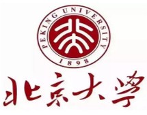 北京大学 Logo